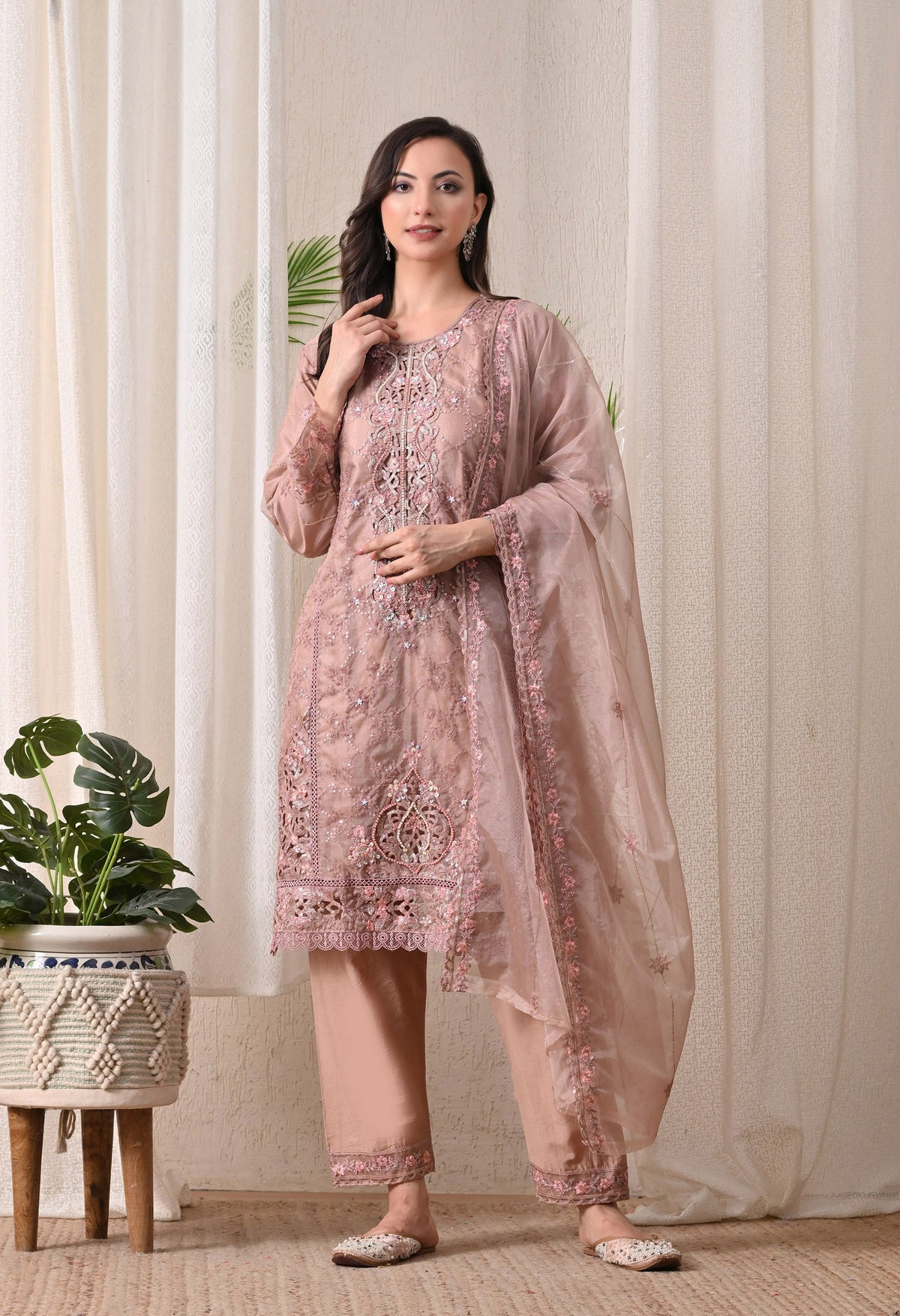 Noor-E-Gulnaar - Pure Organza