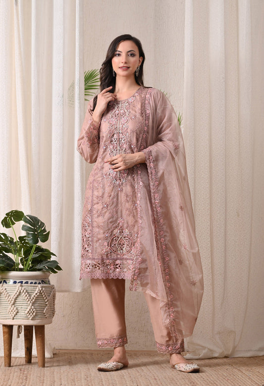 Noor-E-Gulnaar - Pure Organza
